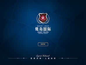 锐掌网络与掌谷网络 数字浪潮中的双子星对决